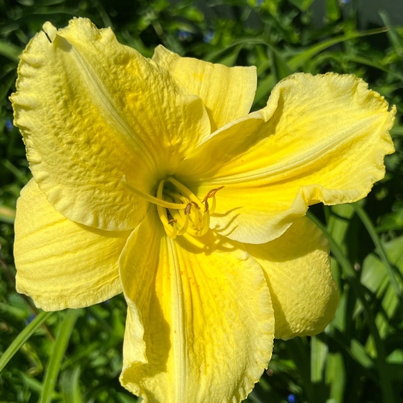 Meet your Posher, Andrea jameson - Picture 14 of 16